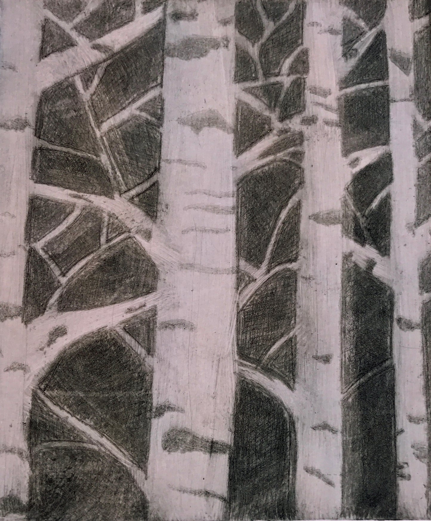 Winter Aspens