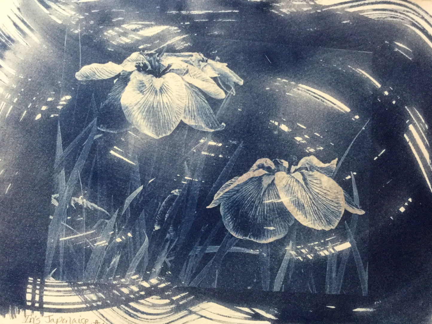 Iris Japonaise #2