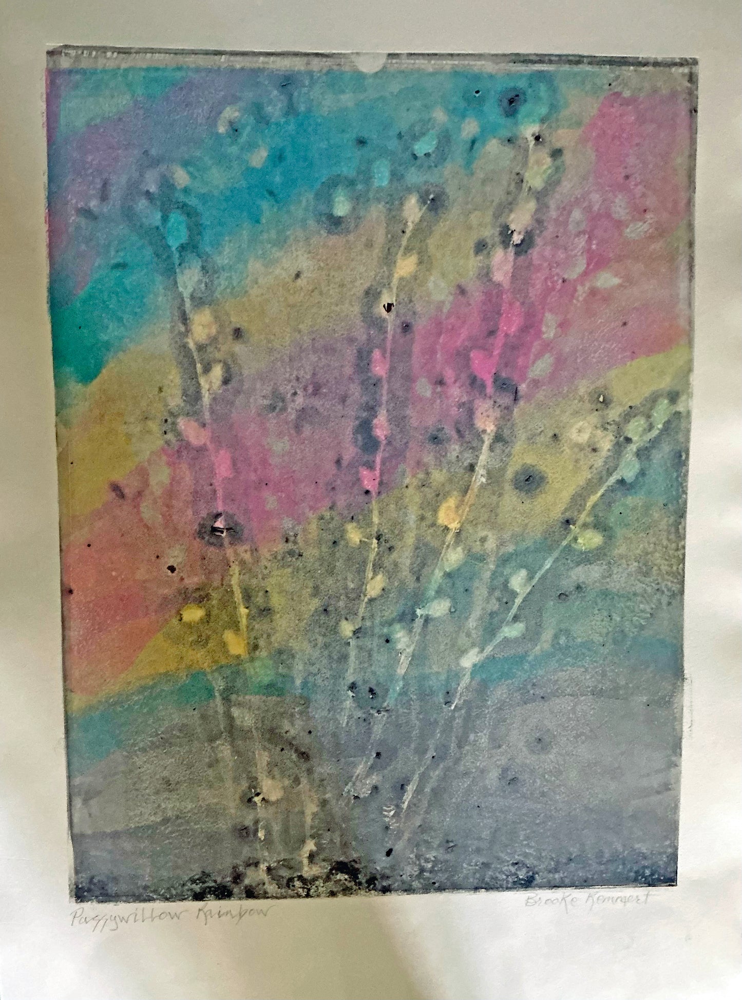 Pussywillow Rainbow