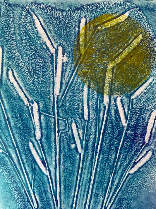 Aqua Afternoon