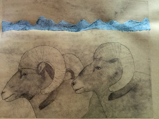 Big Horn Rams
