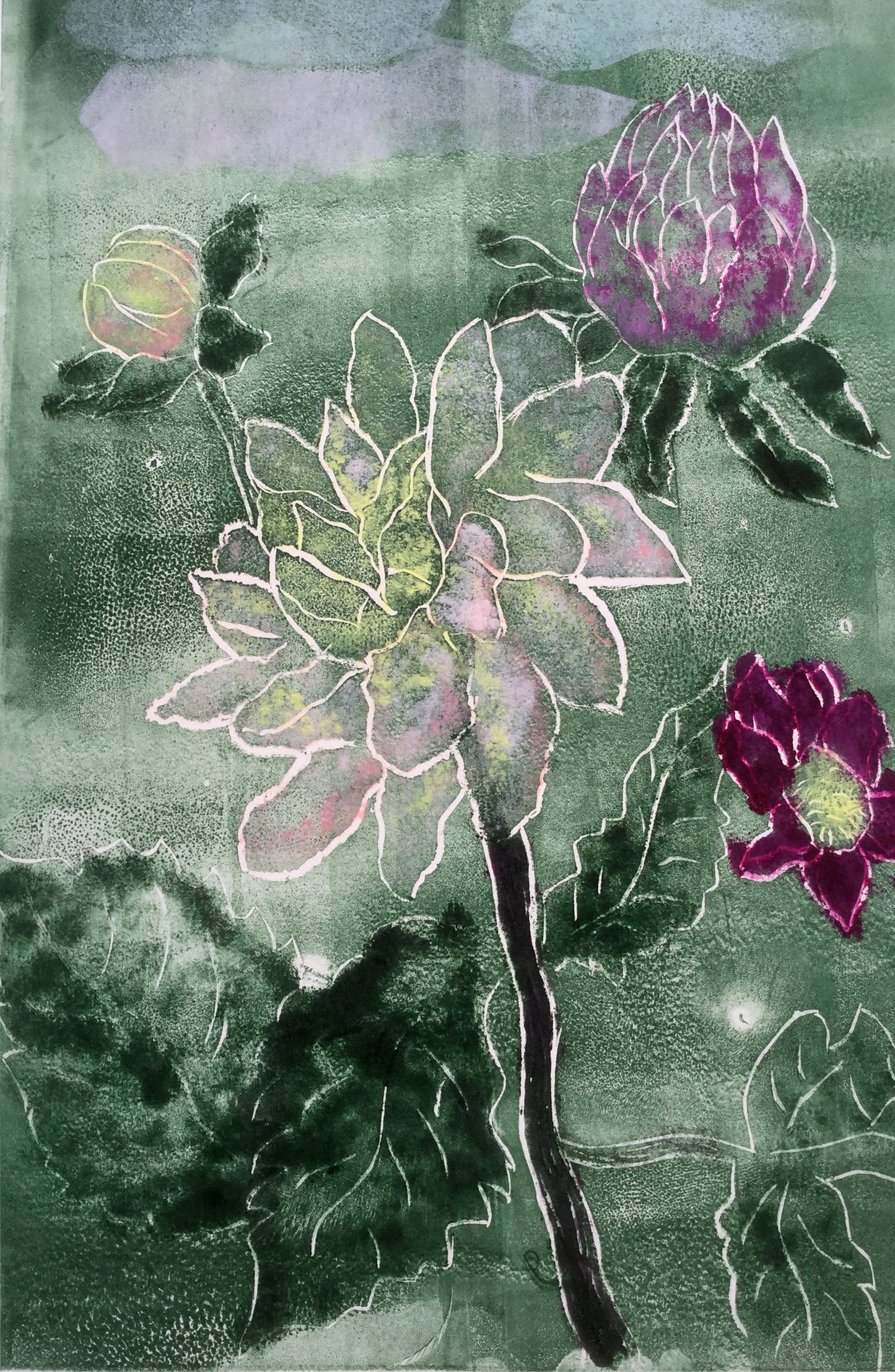 Dahlias In The Green