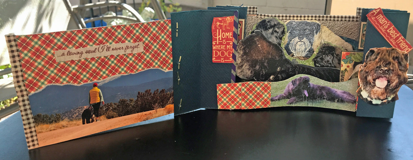 A PET MEMORIAL BOOK: SAMPLE BOOK