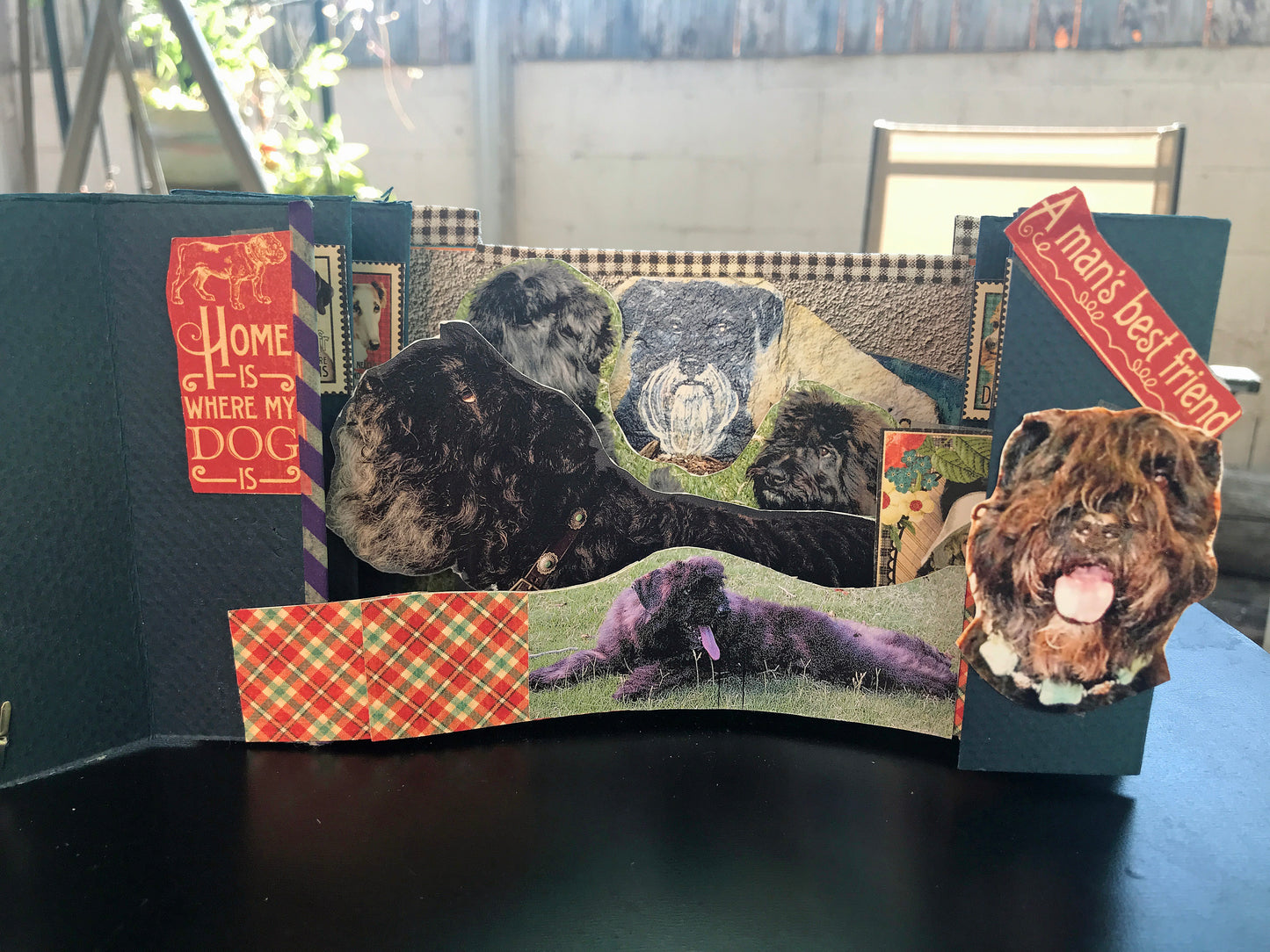 A PET MEMORIAL BOOK: SAMPLE BOOK