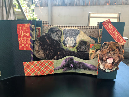 A PET MEMORIAL BOOK: SAMPLE BOOK