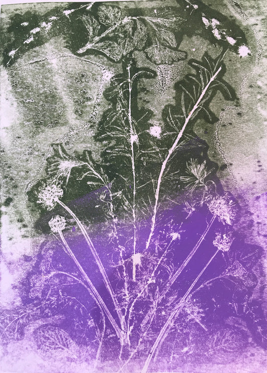 Herbs of Grace