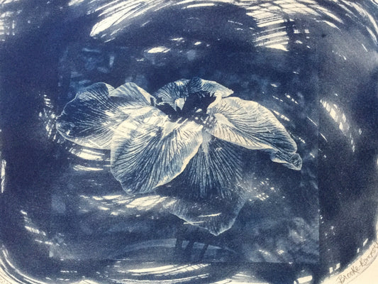 Iris Japonaise #1