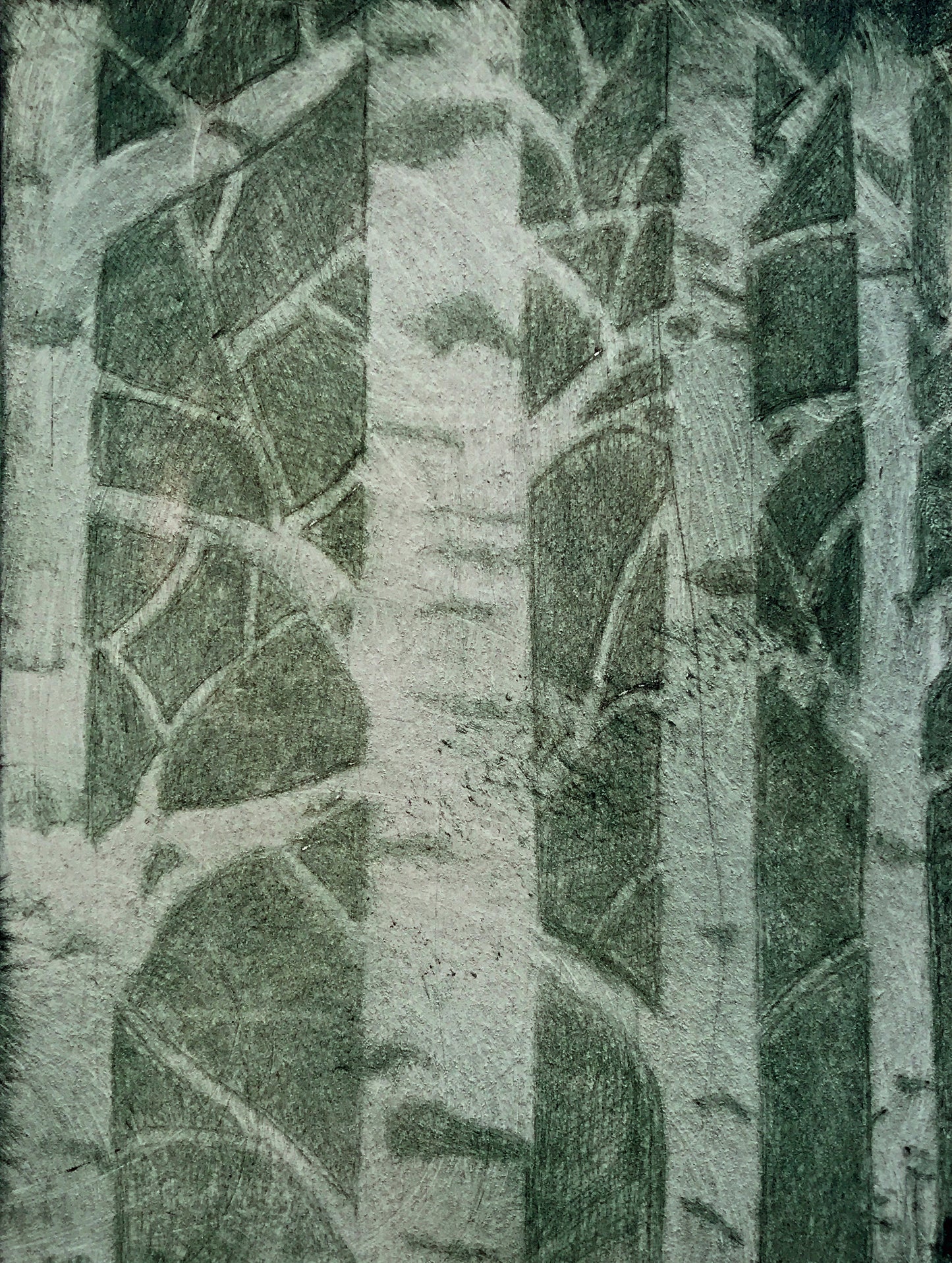Summer Aspens