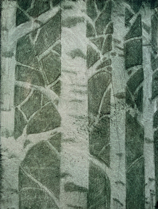 Summer Aspens